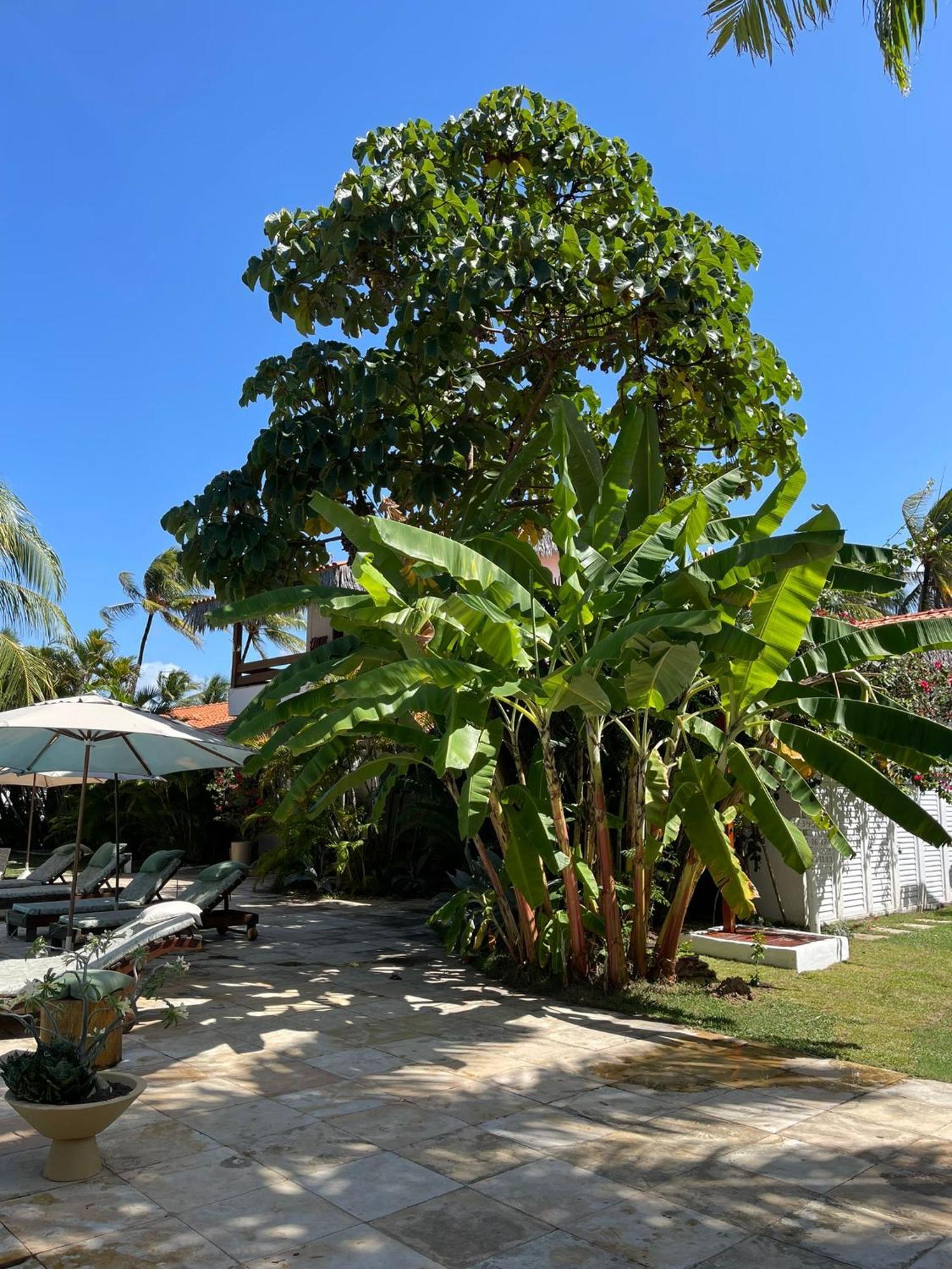 Controvento Boutique Hotel Cumbuco Bagian luar foto