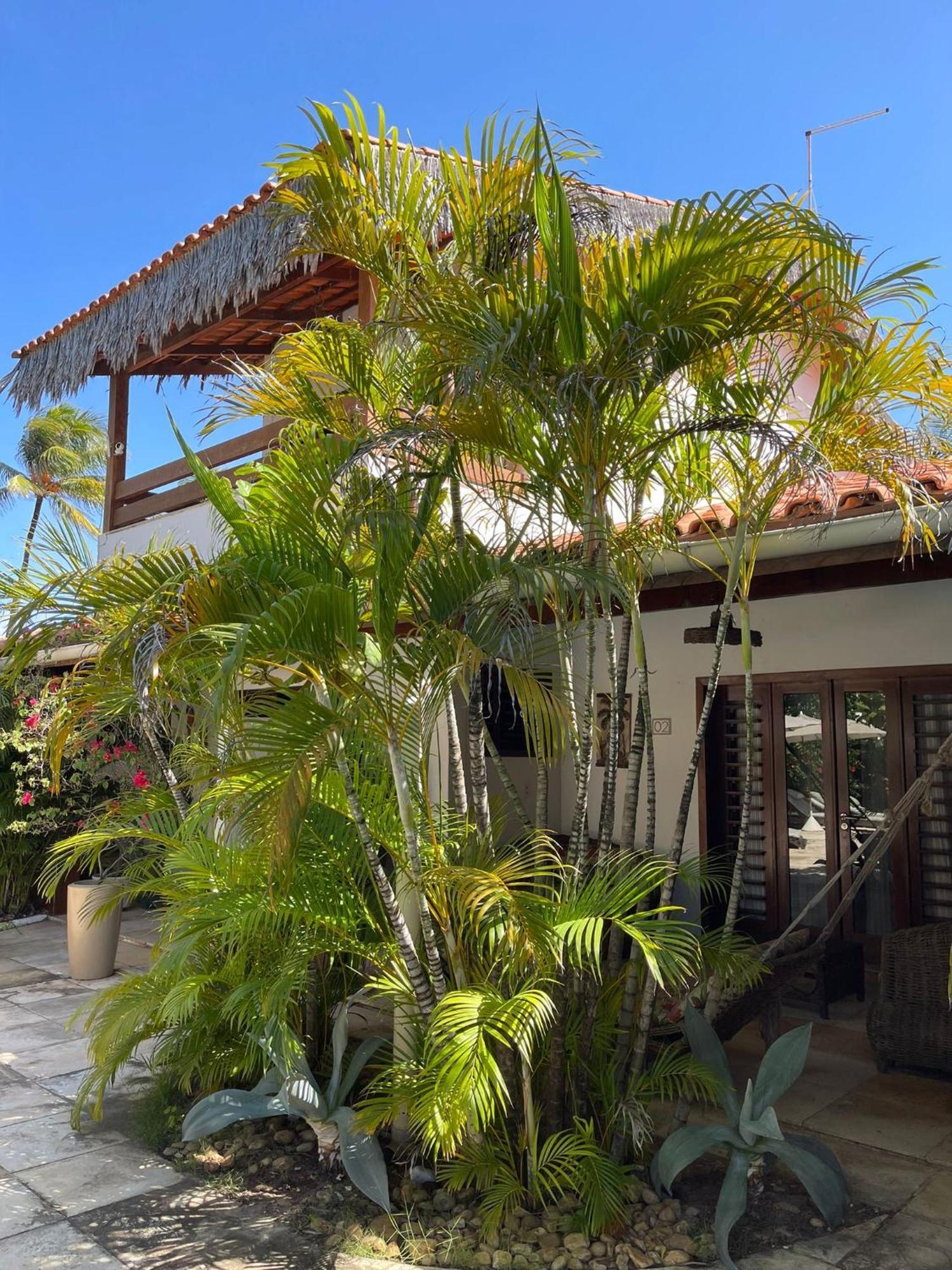 Controvento Boutique Hotel Cumbuco Bagian luar foto